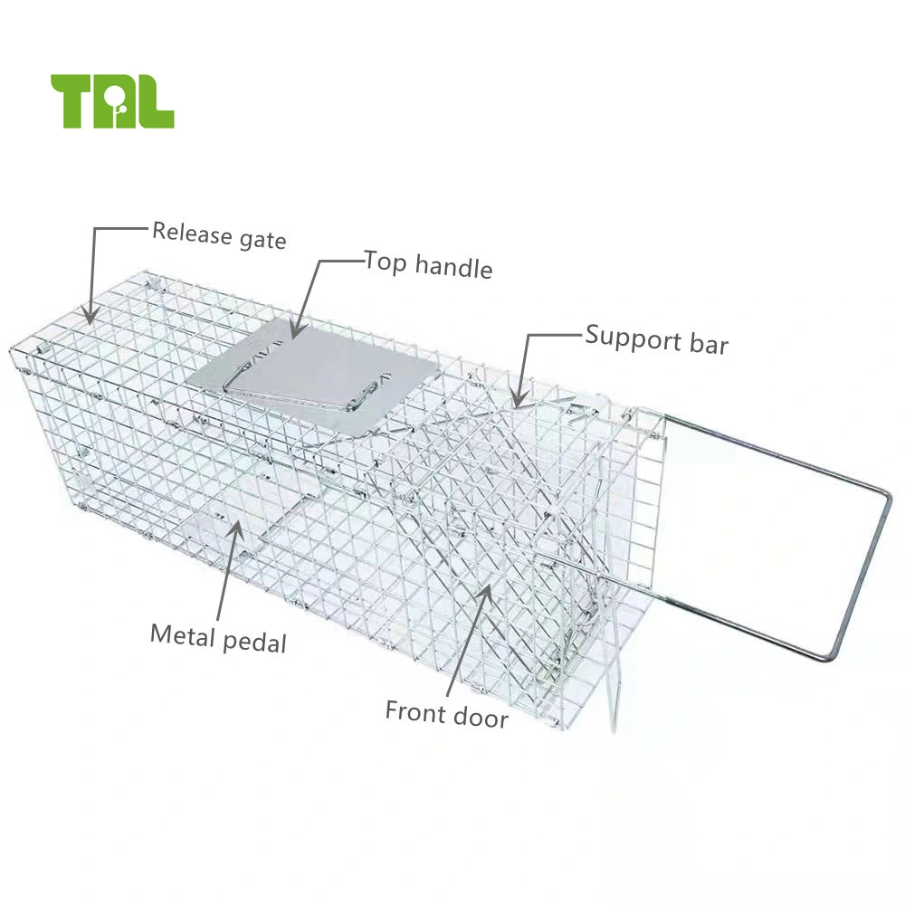 Live Animal Trap Iron Cage Catch Humane Cat Cage Trap for Animal